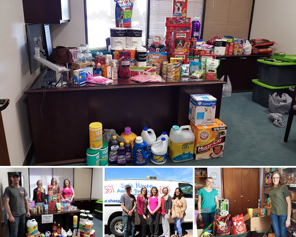 collage of donated items for pet food drive with bank staff